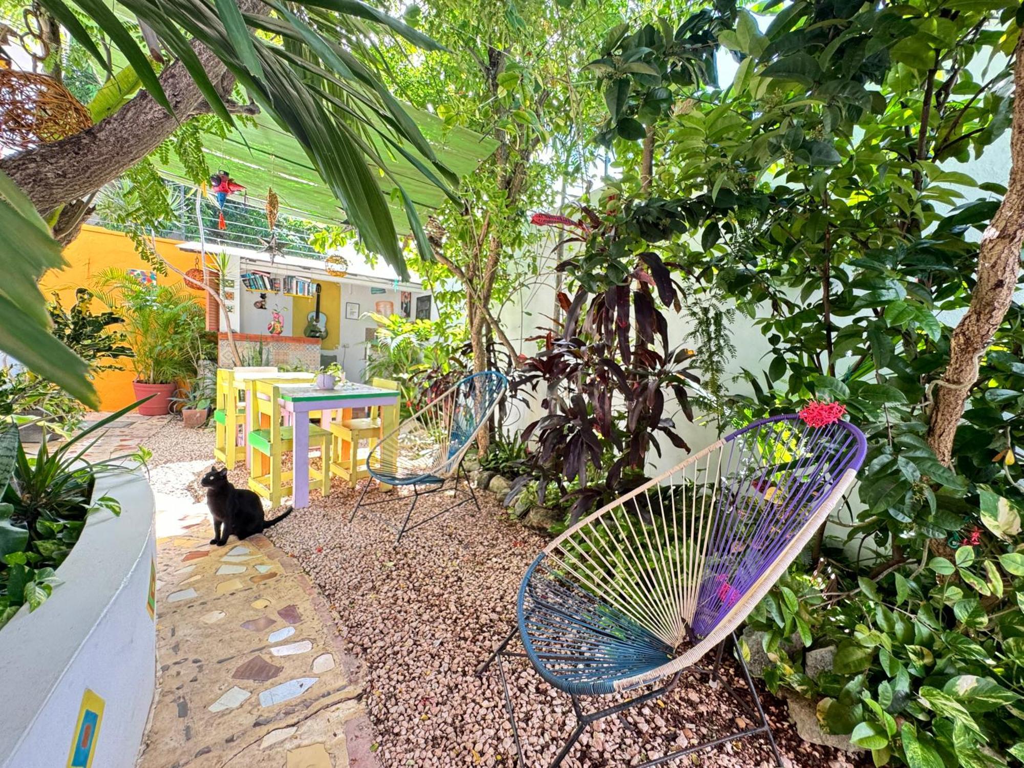 "Vainilla B&B" - Stylish Comfort In Playa Del Carmen Exterior foto