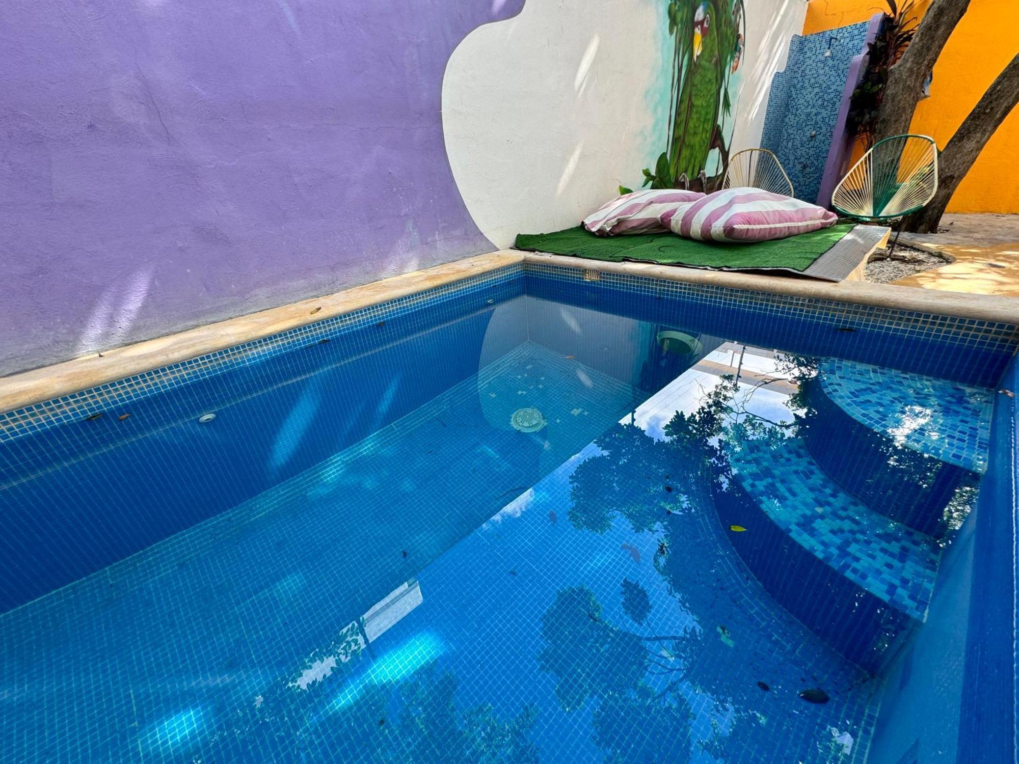 "Vainilla B&B" - Stylish Comfort In Playa Del Carmen Exterior foto