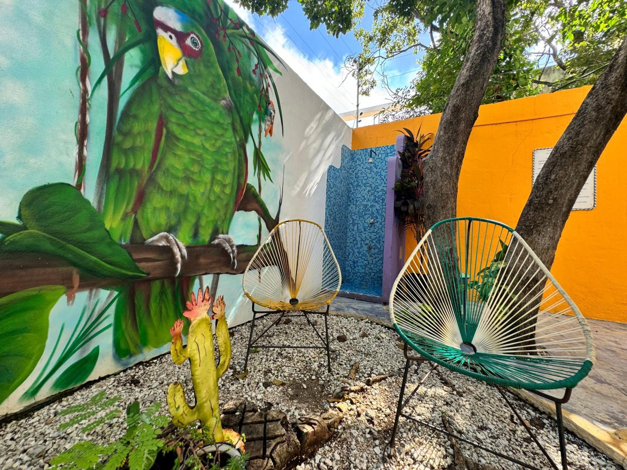 "Vainilla B&B" - Stylish Comfort In Playa Del Carmen Exterior foto