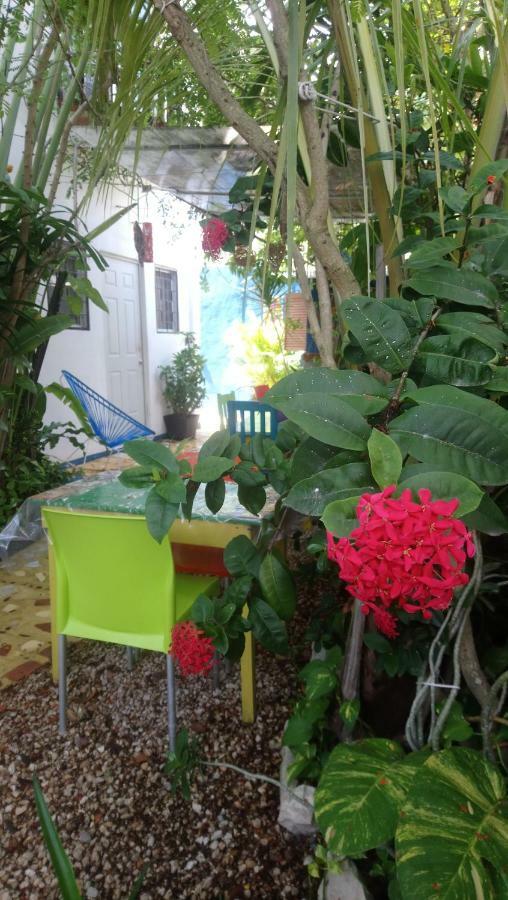 "Vainilla B&B" - Stylish Comfort In Playa Del Carmen Exterior foto